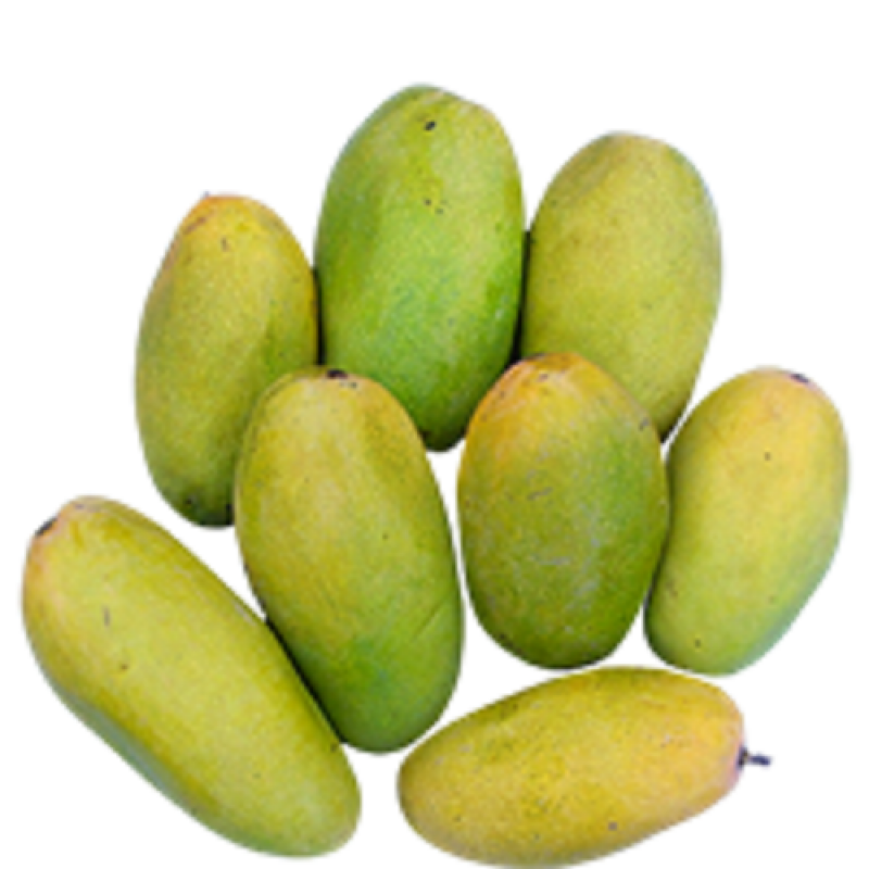 Fresh Dasheri Mango Aam – 1 Dozen