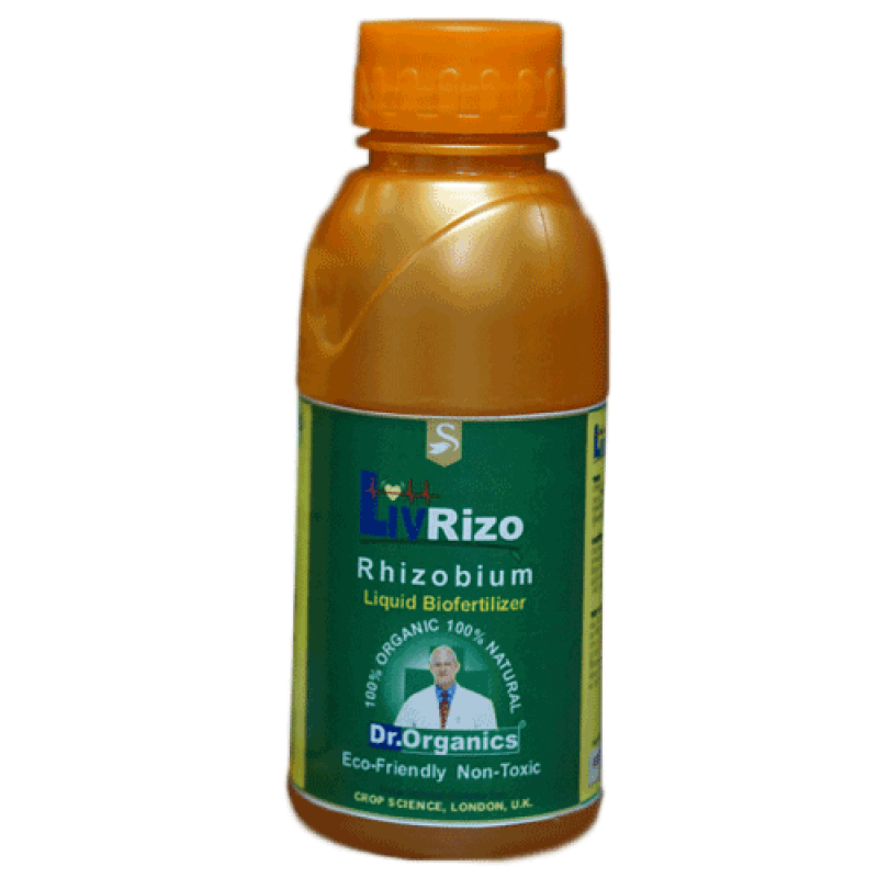 Liv Rizo – Rhizobium Bacteria
