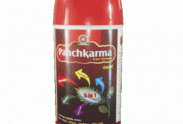Panchakarma ( 5 in 1 ) – Surfactant