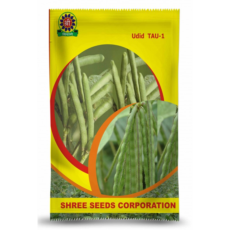 Shree Maruti Tur Seeds – ICP 8863
